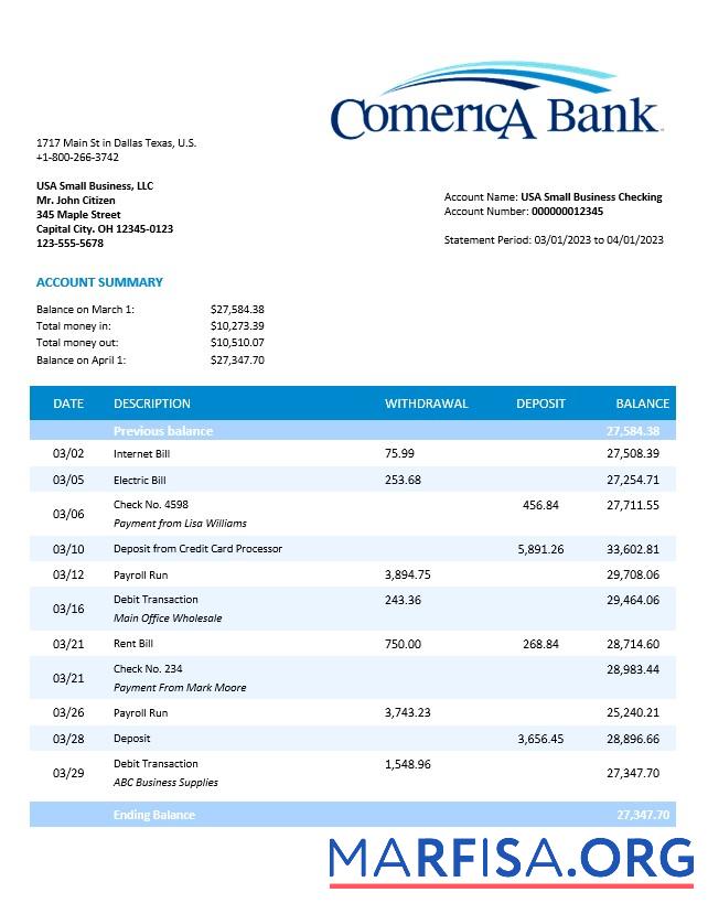 Blank Comerica Bank business statement Word and PDF template